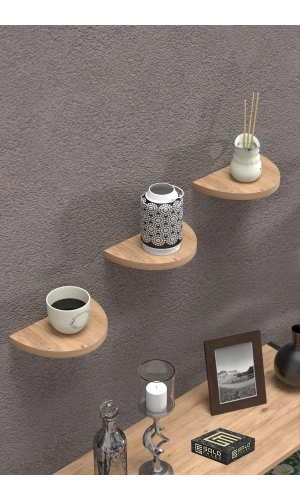 Bidebuvar Duvar Rafı Dekoratif 3 Adet Çiçeklik Oval Ceviz