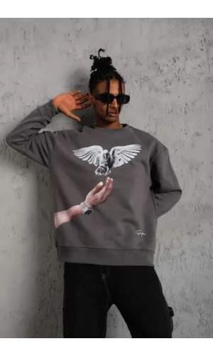 Bidebuvar Erkek Güvercin Baskılı Sweatshirt - Gri