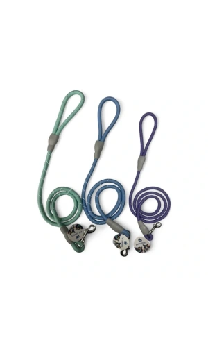 Bidebuvar Evcil Hayvan Fitil Gezdirme Tasması 12 mm x 120 cm