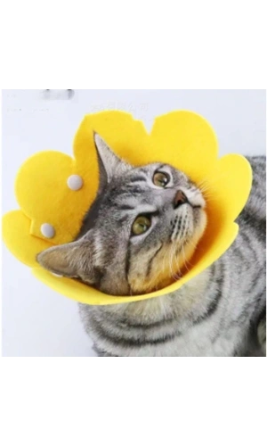 Bidebuvar Evcil Hayvan M Boy Keçe Elizabeth Yakalığı