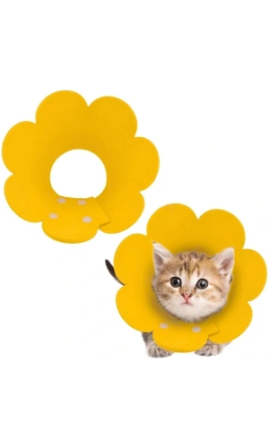 Bidebuvar Evcil Hayvan S Boy Keçe Elizabeth Yakalığı