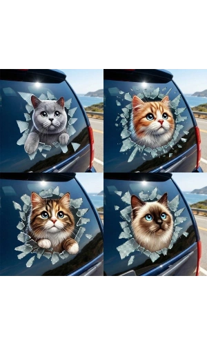Bidebuvar Fulcar Kedi Tasarımlı Araç Stickerı