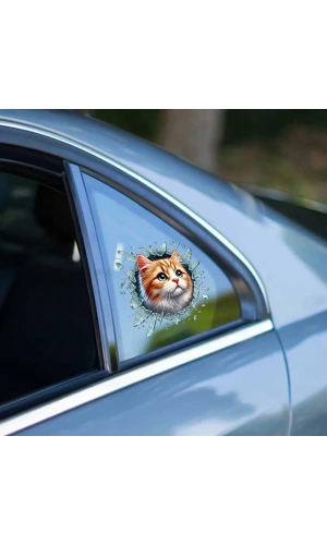 Bidebuvar Fulcar Sarman Araç Stickerı