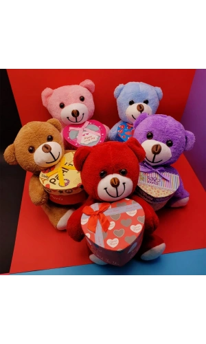 Bidebuvar Hediyelik Kutulu Ayıcık