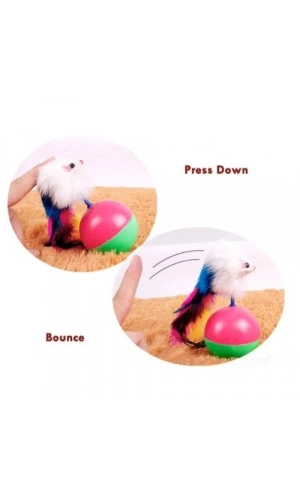 Bidebuvar Kedi Fare Hacıyatmaz Oyunu