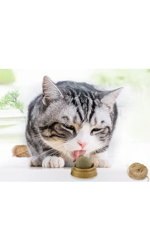 Bidebuvar Kedi Otu Oyun Topu