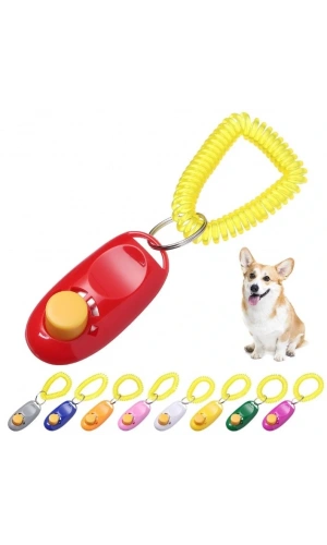 Bidebuvar KÖPEK EĞITIMI CLICKER