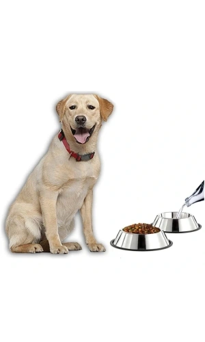 Bidebuvar Paslanmaz Çelik Metal Mama Kabı 34 cm.