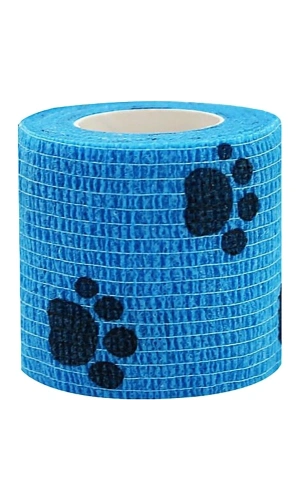 Bidebuvar Pati Bandajı