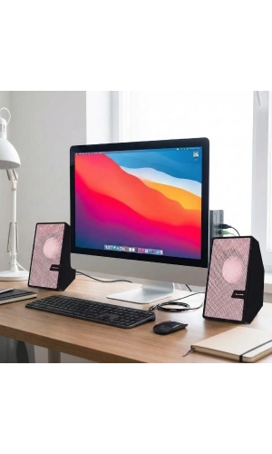 Bidebuvar Pembe USB 2.0 + 3.5mm USB Hoparlör