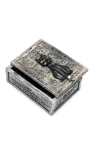 Bidebuvar Polyester Kedi Tasarımı Kutu