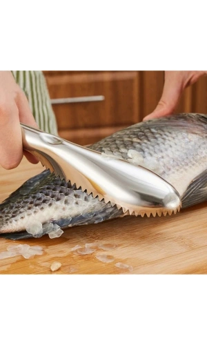 Bidebuvar Pratik Balık Pulu Kazıyıcı Aparat