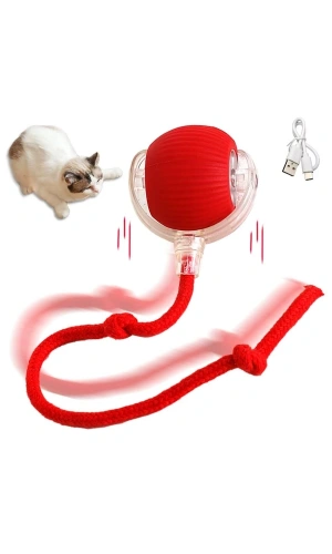 Bidebuvar Şarjlı Kedi Oyuncağı