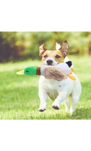 Bidebuvar Sesli Ördek Şekilli Peluş Köpek Oyuncağı