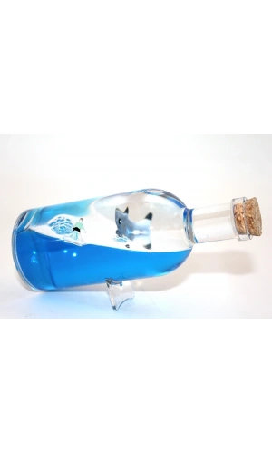 Bidebuvar Şişe İçinde Batmayan Gemi Model 2