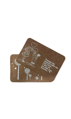 Bidebuvar Süper Emici Kapı Paspası