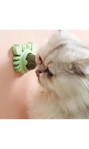 Bidebuvar Yengeç Kedi Otu Oyun Topu