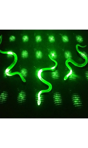 Bidebuvar Yılan Kırkayak Şaka Oyuncağı 36 Adet