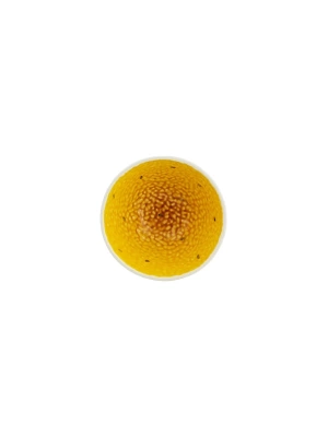 BORDALLO PINHEIRO TROPICAL FRUITS PASSION 14CM KASE 65029346