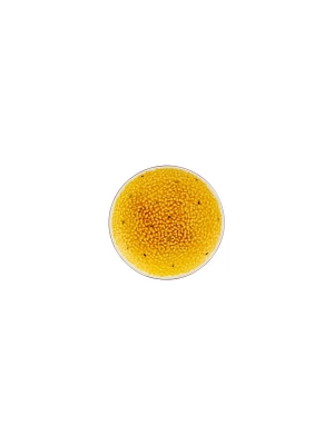 BORDALLO PINHEIRO TROPICAL FRUITS PASSION PASTA TBK 65029334