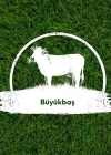 Kurbanlık Büyükbaş Kg