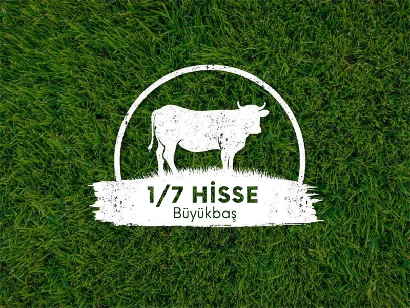 Kurbanlık Büyükbaş Hissesi 1/7 55-60 kg