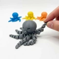 3D AHTAPOT PAKET 24 LÜ