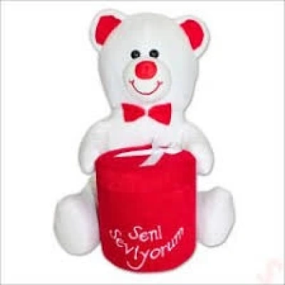 35 CM HEDİYE KUTULU AYICIK