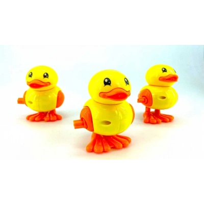 KURMALI PENGUEN-ÖRDEK