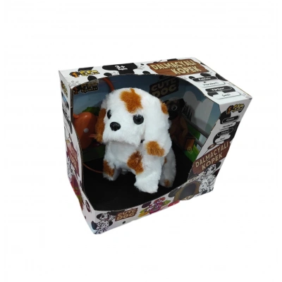 KUTUDA KUMANDALI PİLLİ KÖPEK