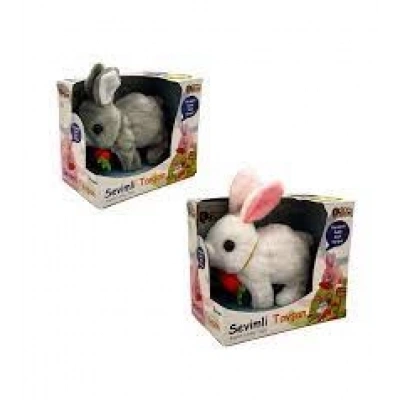 KUTUDA PİLLİ HAREKETLİ TAVŞAN