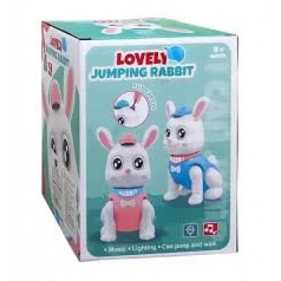 KUTUDA PİLLİ TAVŞAN[72]