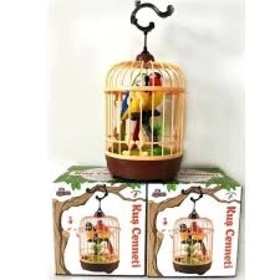 KUTULU KAFESLİ İKİLİ KUŞ