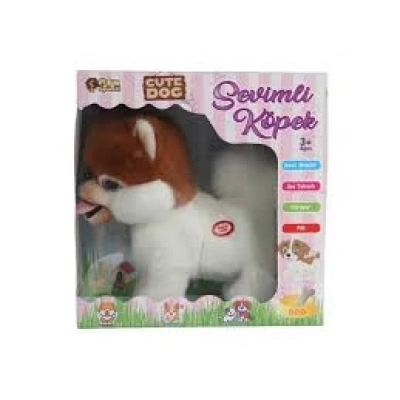 KUTULU PİLLİ SESLİ KÖPEK