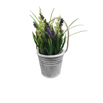 SAKSIDA LAVANTA ÇİÇEĞİ