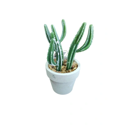 SERAMİK KAPTA KAKTÜS ÇİÇEĞİ