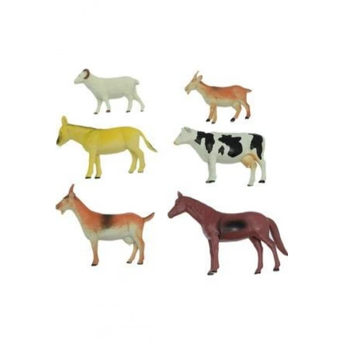 6 LI EVCİL HAYVAN SETİ