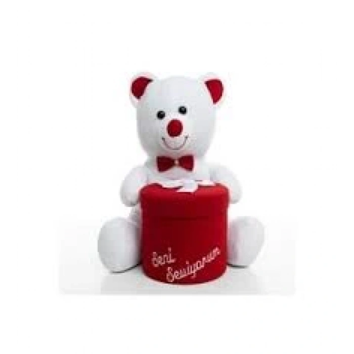 65 CM HEDİYE KUTULU AYICIK