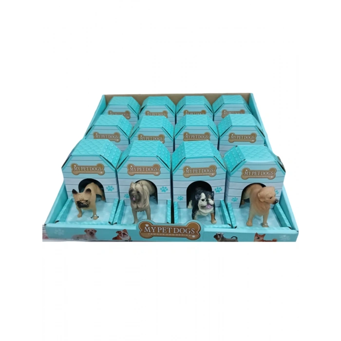 KUTUDA KAFESLİ EVCİL KÖPEK