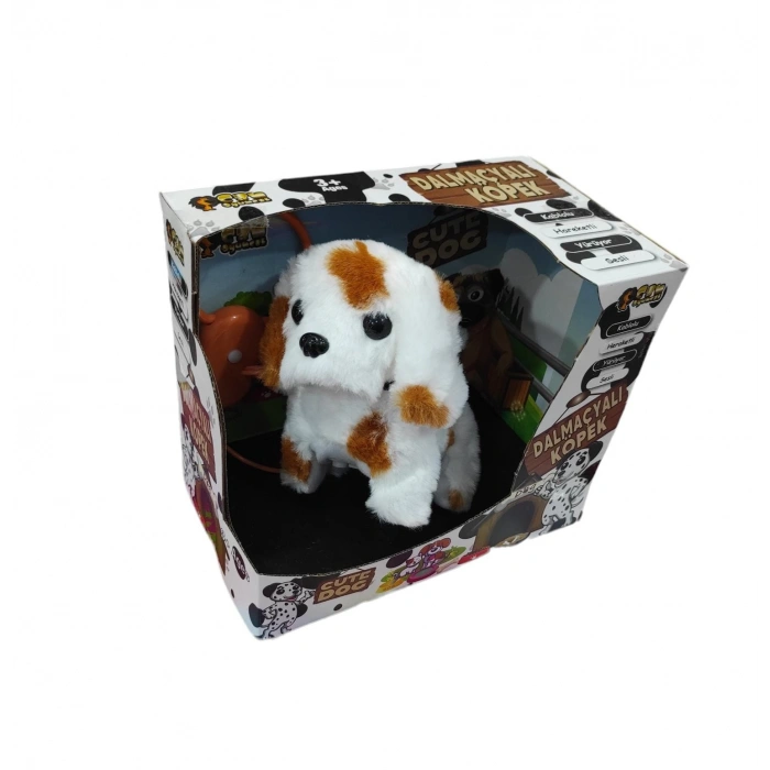 KUTUDA KUMANDALI PİLLİ KÖPEK