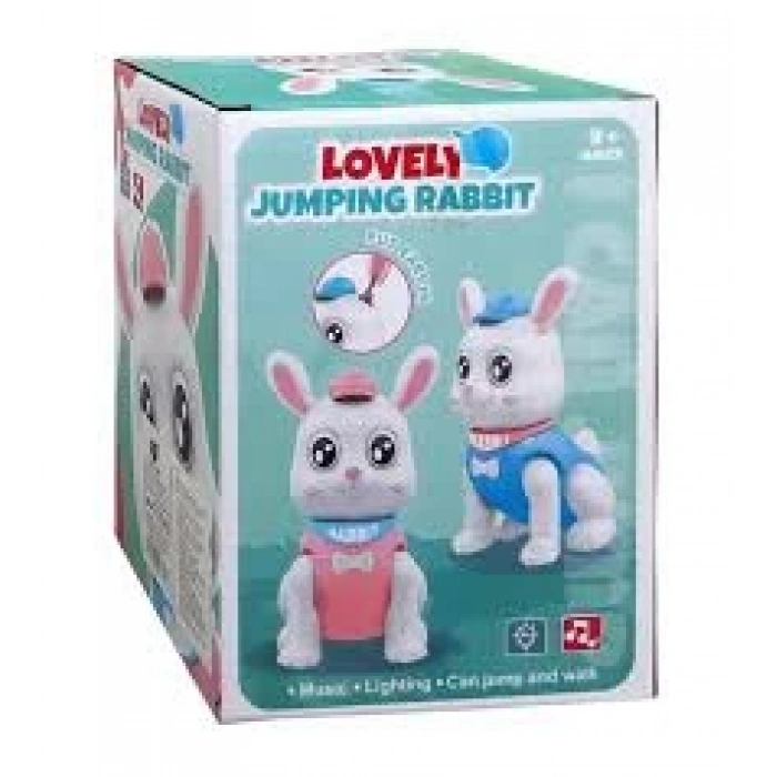 KUTUDA PİLLİ TAVŞAN[72]