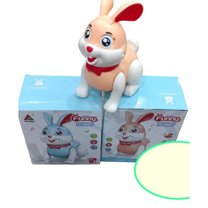 KUTULU PİLLİ TAVŞAN