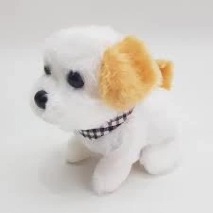 PİLLİ YÜRÜYEN KÖPEK