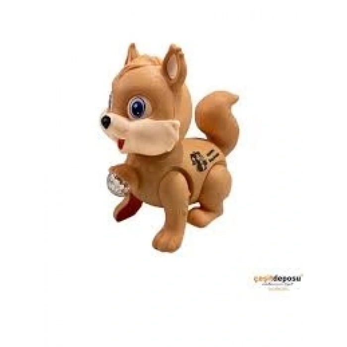 POŞETTE IŞIKLI MÜZİKLİ SİMCAP