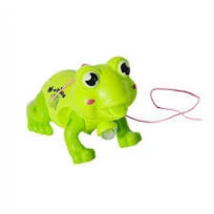 POŞTTE PİLLİ KURBAĞA