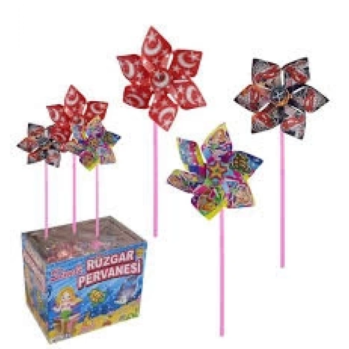 RÜZGAR GÜLÜ [6 KANAT]