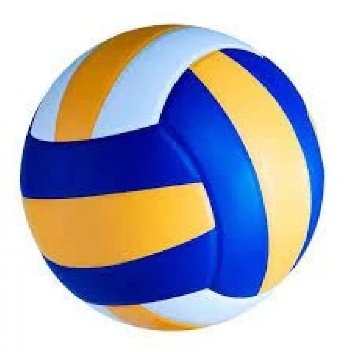 VOLEYBOL TOPU