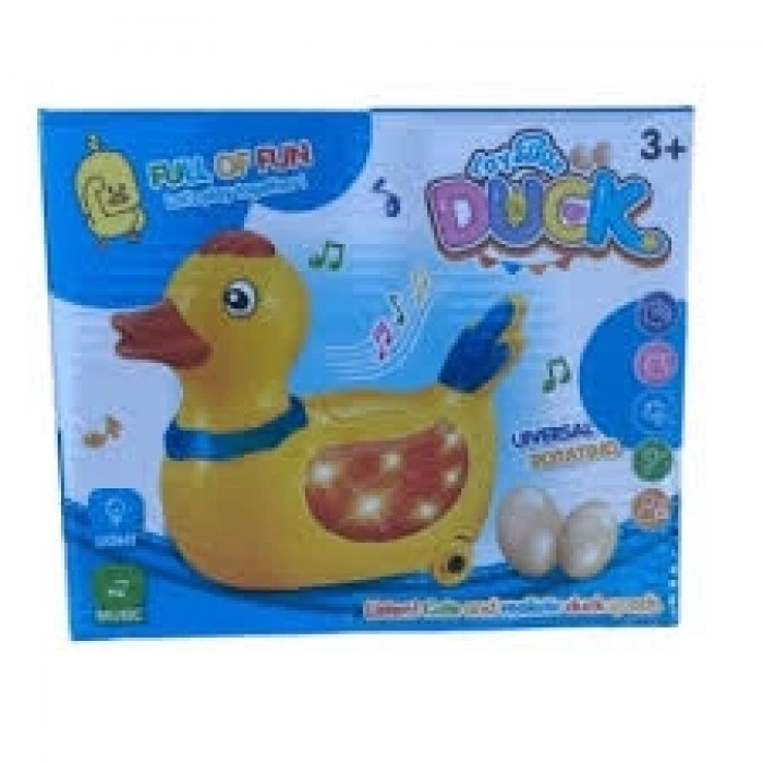 YUMURTLAYAN PİLLİ TAVUK