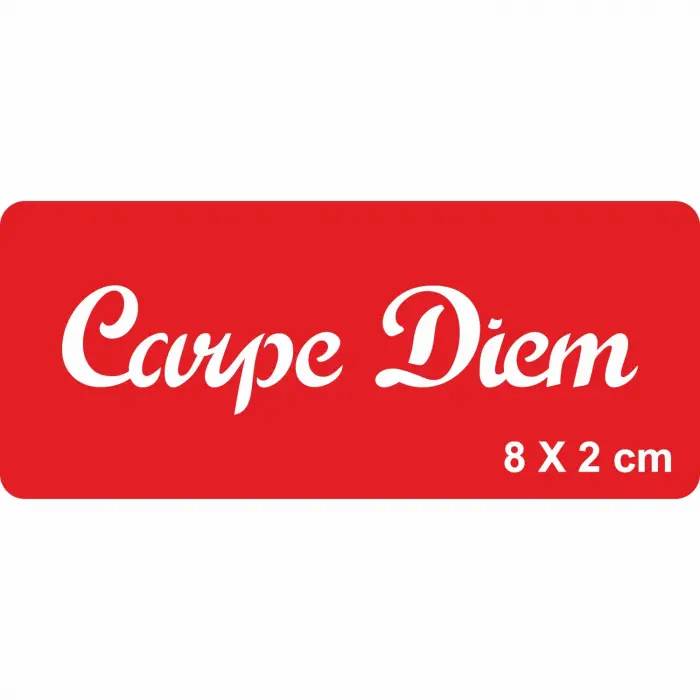 Anı Yaşa El Yazısı Tattoo Dövme Şablonu Kına Deseni