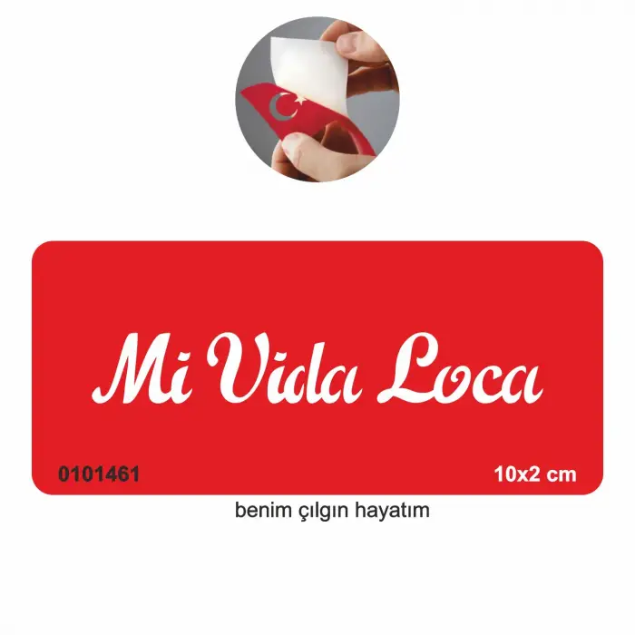 Benim Çılgın Hayatım(İspanyolca)  Tattoo Geçici Dövme Şablonları Kına Kalıpları